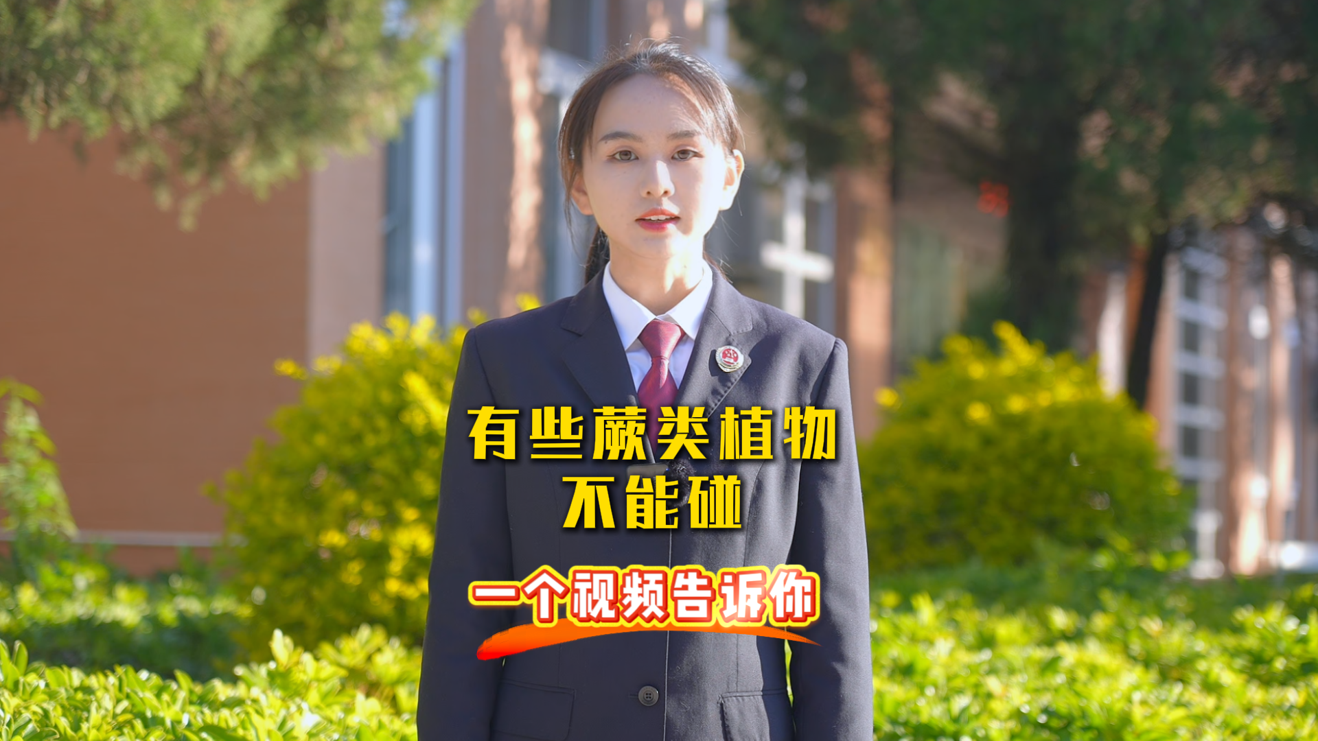 ��Щާ��ֲ�ﲻ����